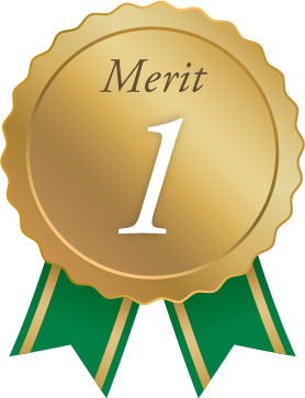 Merit 1