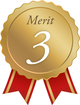 Merit 3